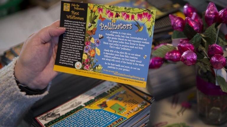 How to get kids interested in gardening? Encourage them to grow seeds