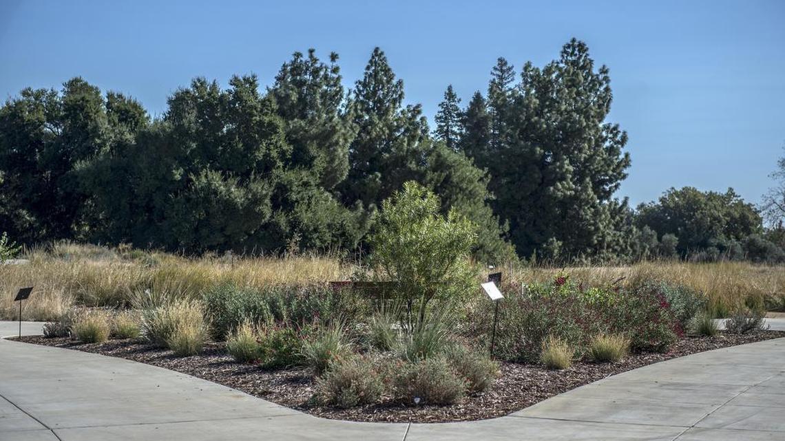 UC Davis’ hummingbird garden borders other habitat areas in the campus’ arboretum.