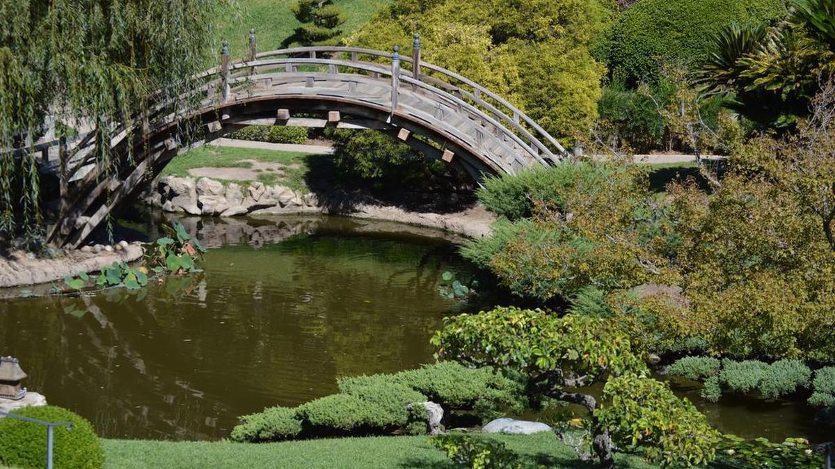 “We’re trying our best to follow (drought) recommendations, but still keep the garden looking good,” said the Huntington’s Asian gardens curator.