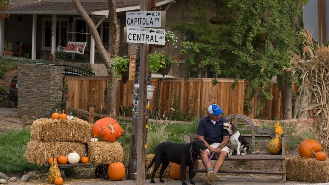 Seeds: Fair Oaks Village goes to dogs – in a good way