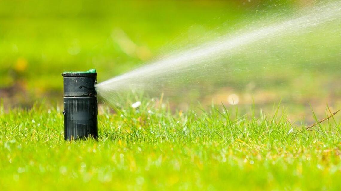 Garden Checklist: Help precious plants survive July’s intense heat
