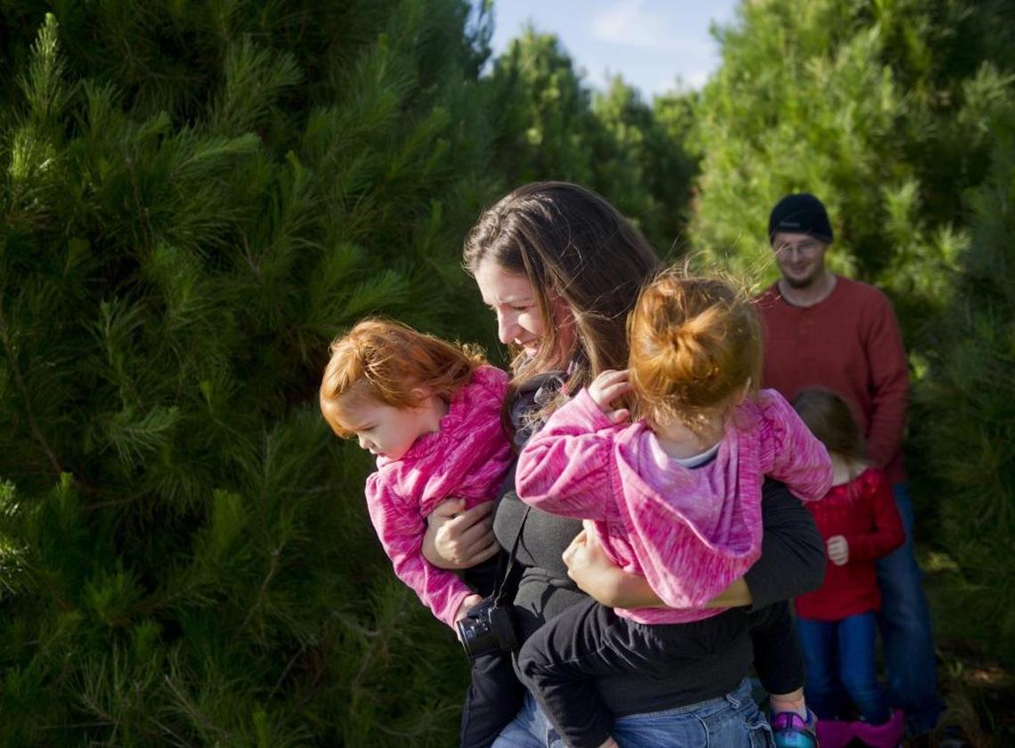 Lannea Spence of Stockton carries her twin girls, Blake and Ashlen, while on the hunt for the perfect Christmas tree in 2014 at Billy’s Farm in Wilton. Families seeking to choose and cut their own trees this season will find some favorite varieties limited by the California drought.