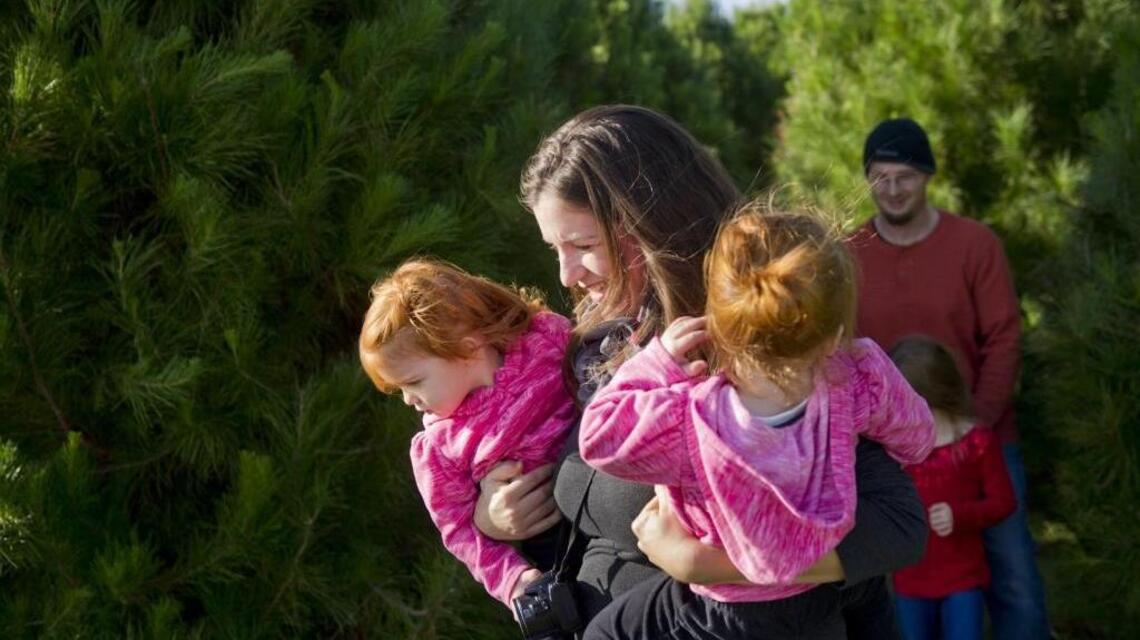 Drought hits another crop – Christmas trees