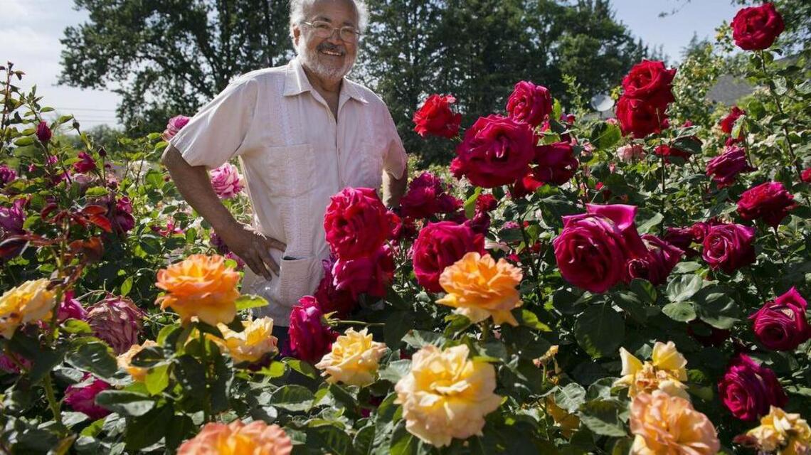 Seeds: For a dream garden, nip nightmares in the bud