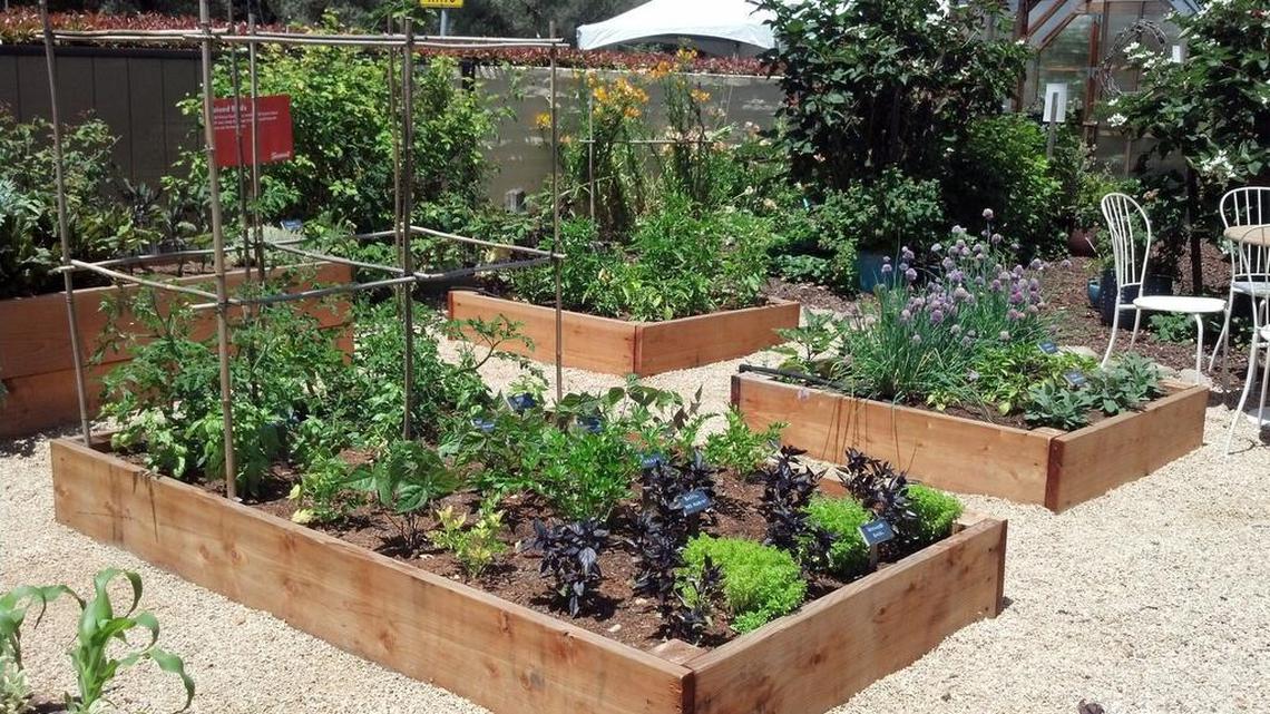 Guide to Planting Vegetables in Raised Beds: Easy Steps for Success