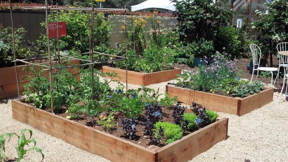 Raised beds made from wood can be great for keeping out weeds, but there are some tricks you should know.