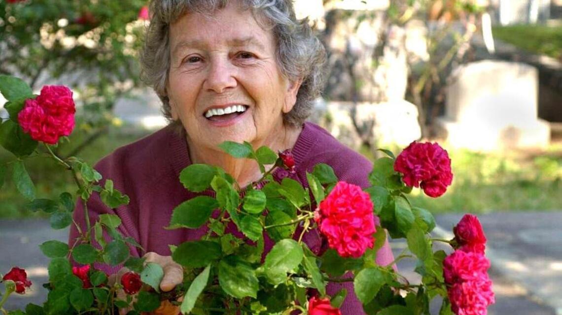 Seeds: Cemetery rose garden pays tribute to its founder
