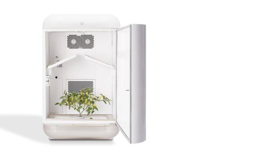 Growing machine could be next must-have home appliance