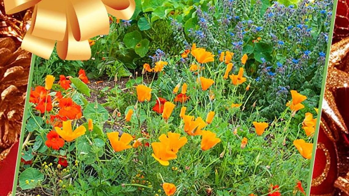 Ready for 2018? Get expert gardening advice one day at a time