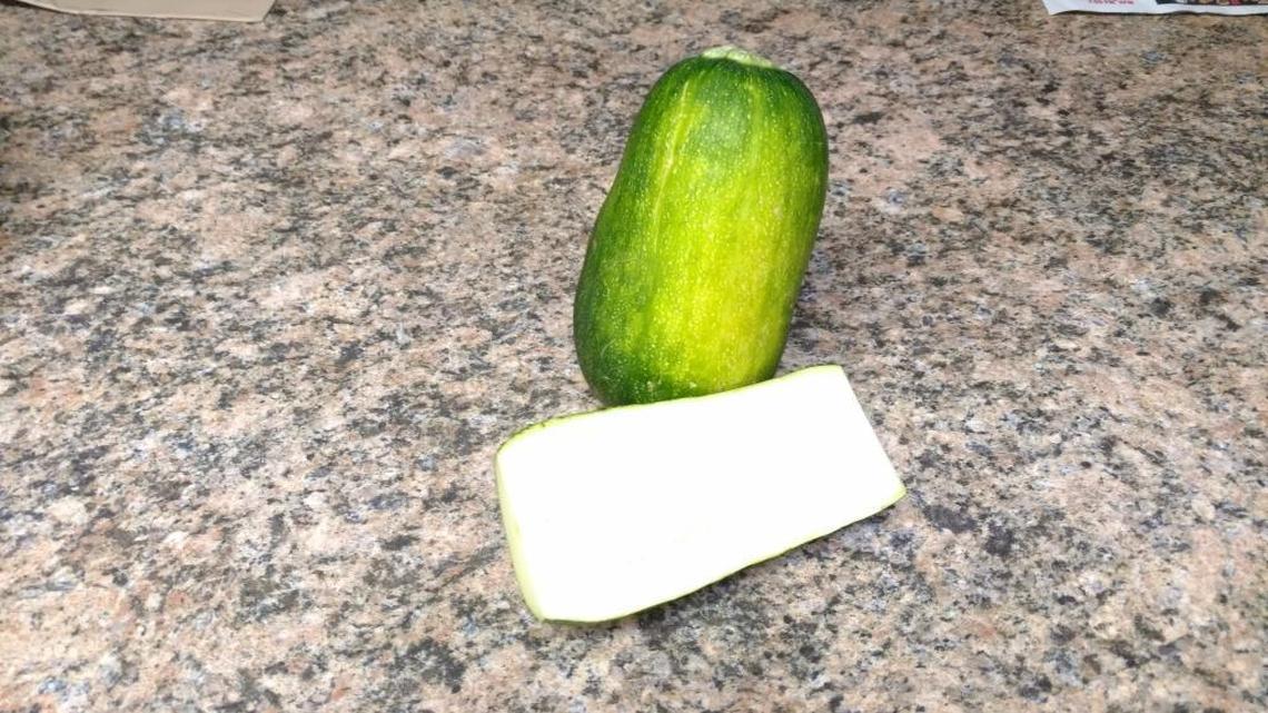 This fast-growing hybrid can produce 4-10 pounds of squash per plant per day