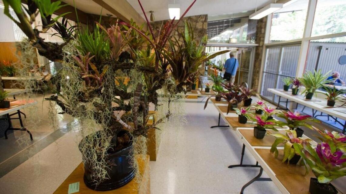 Embrace spring, nurture your inner gardener at this plant sale in McKinley Park