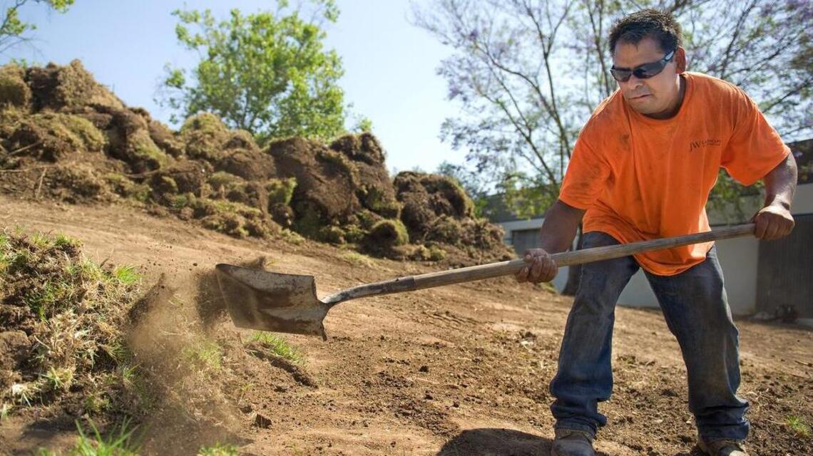 Seeds: California offers rebates for turf, toilets