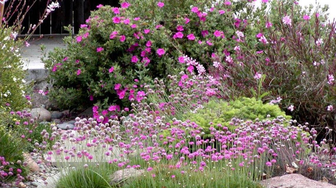 Seeds: Train to be a ‘green’ gardener