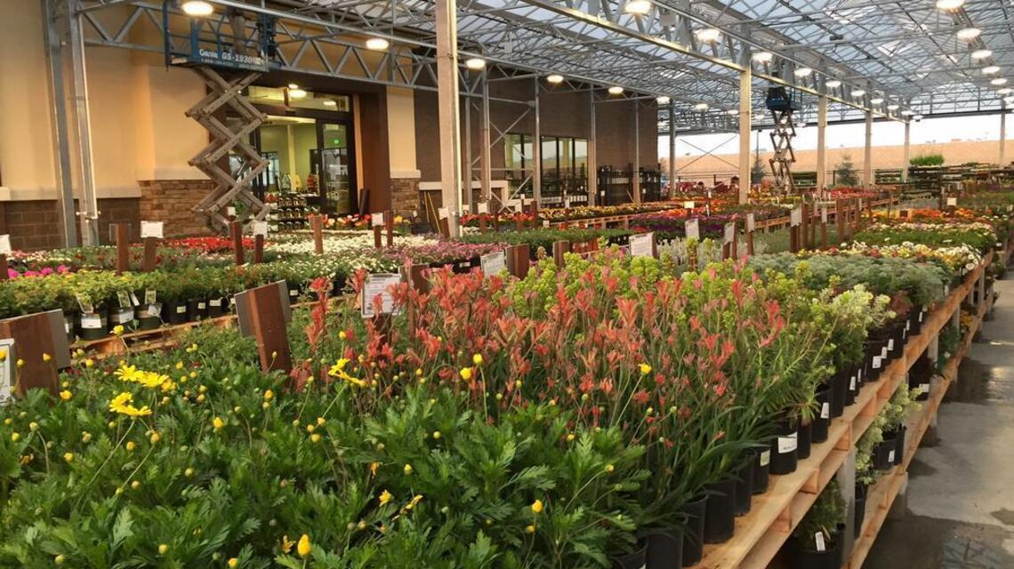 Seeds: Green Acres catches spring fever with new Rocklin nursery