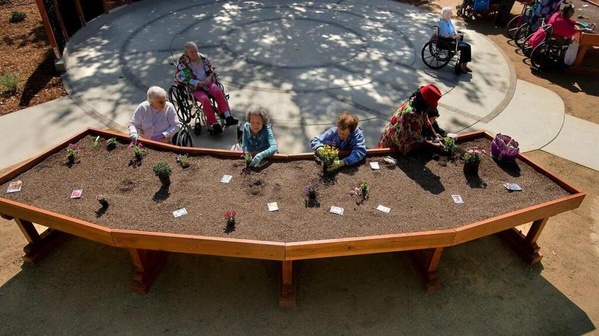 
Residents and members of the garden club plant flowers in the raised beds at Eskaton Care Center Greenhaven in Sacramento on Tuesday, Sept. 1.
