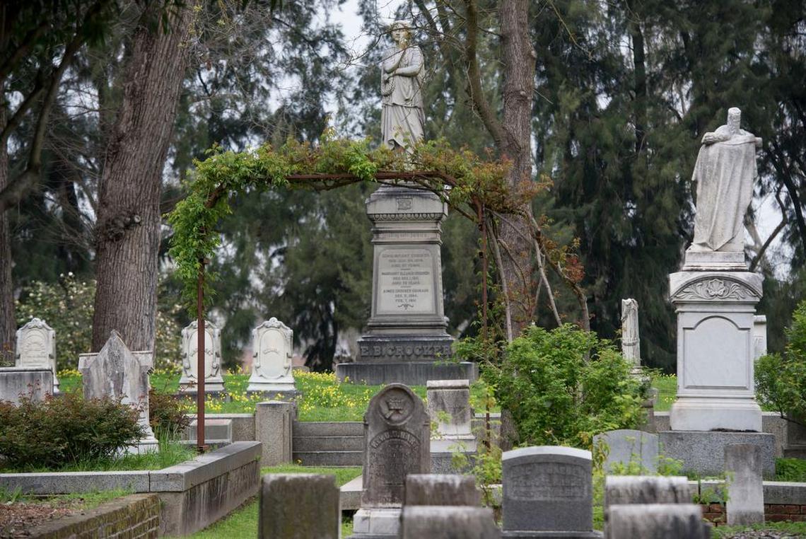 Roses grow at the Sacramento Old City Cemetery in 2016.