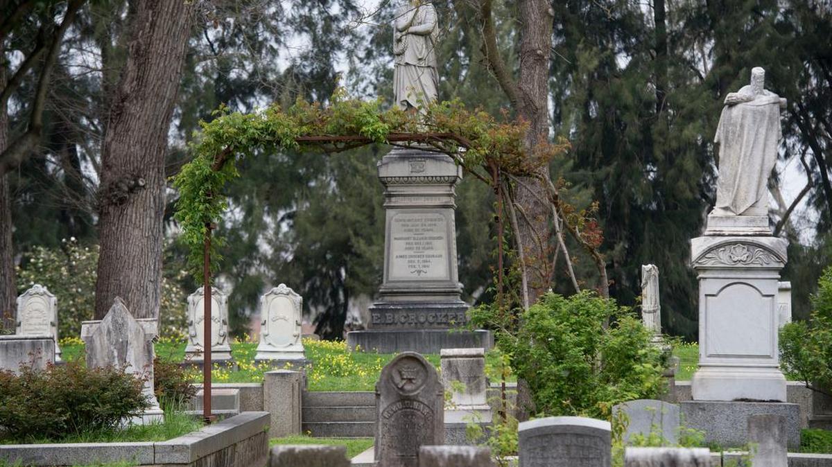 Sacramento’s Old City Cemetery is a Gold Rush-era graveyard that features roses of more than 500 varieties and rare specimens.