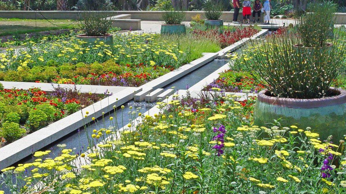 Bright yellow yarrow fills perennials beds bordering a fountain at the Huntington Library in San Marino.