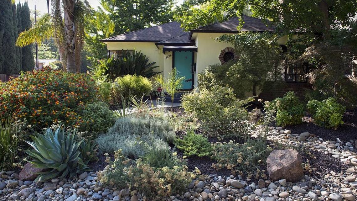 Roberta Walker, an authority on drought-proof gardens who has a new DVD out, transformed this Land Park front yard into a water-wise oasis.