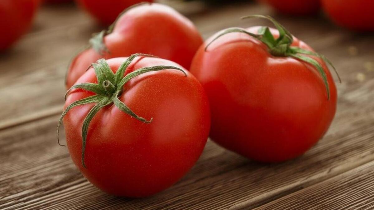 
Send us snapshots of your tomatoes and other garden successes.
