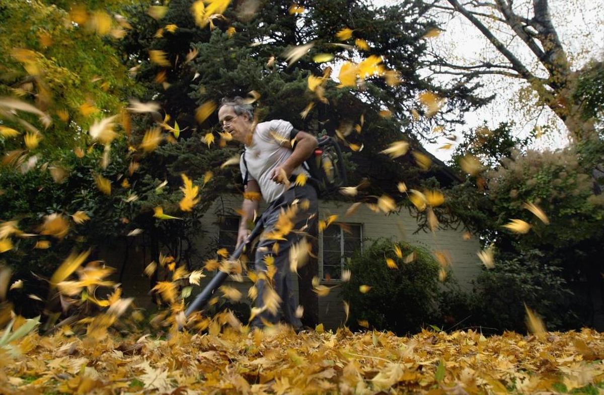 Sacramento’s leaf season is coming to an end and will have their final collection this upcoming weekend. 