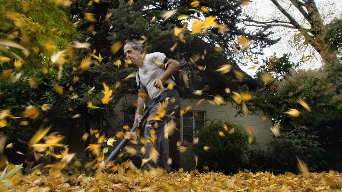 California is considering a ban on sales of new gas-powered leaf blowers and lawnmowers because of concerns about air pollution.