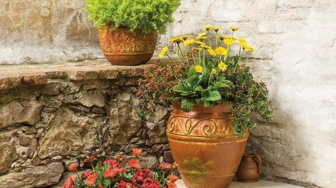 The Plant Lady: It’s time to work on soil. Here’s how to get the best for your plants