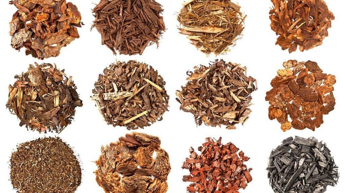 
There are many kinds of mulch, but they all help plants, and can deter weeds.