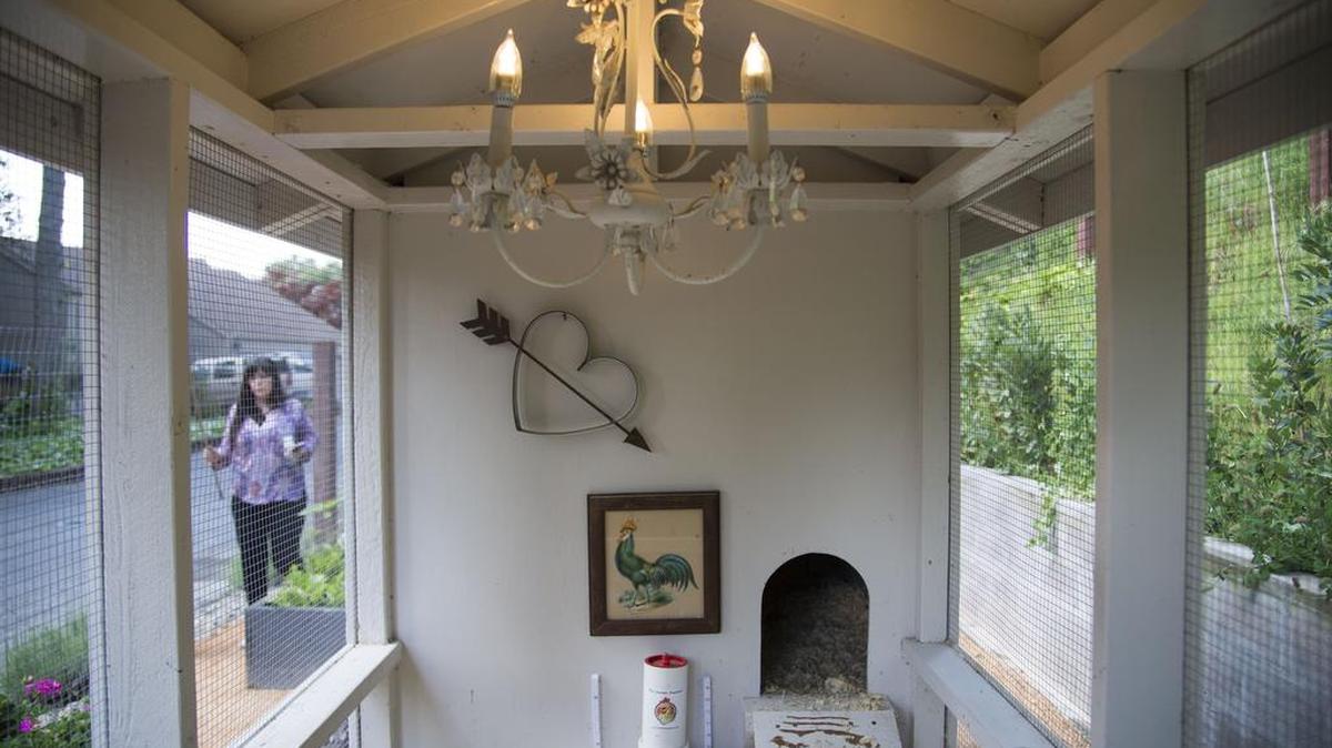 Lynda Trujillo and Christopher Schaal of Folsom built the chicken coup using inspiration from Pinterest.