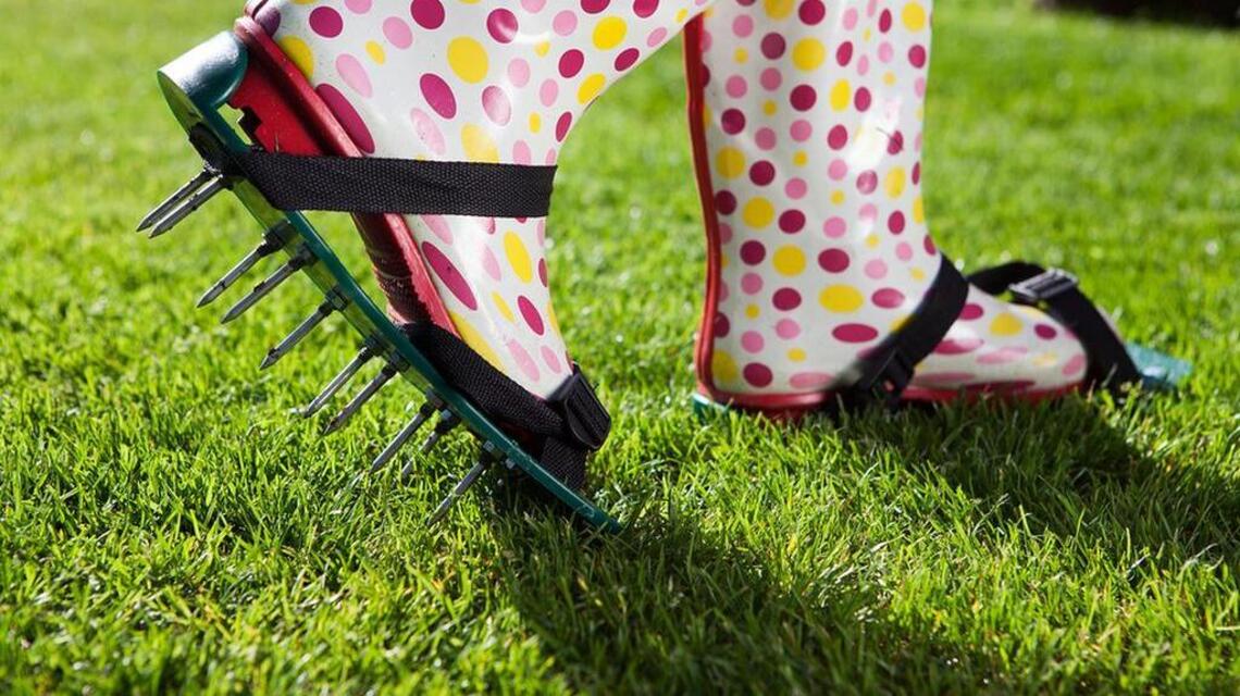 Water-wise tip: Aerate your lawn
