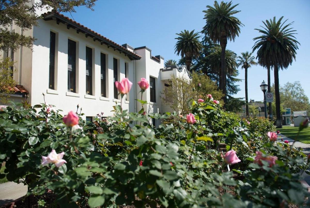 The Woodland Library garden has quietly become a showpiece. Its rose garden, a collection of roses dating back to the Gold Rush, recently received an international award as a “Garden of Excellence.”