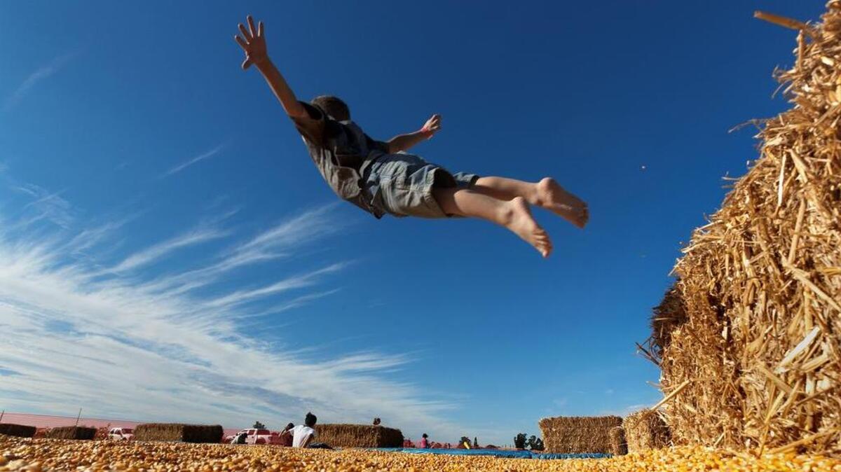 Bradley Wright, 4, of Vacaville does a swan dive into a “corn bath” at the Cool Patch Pumpkins in Dixon on Sept. 24, 2011.