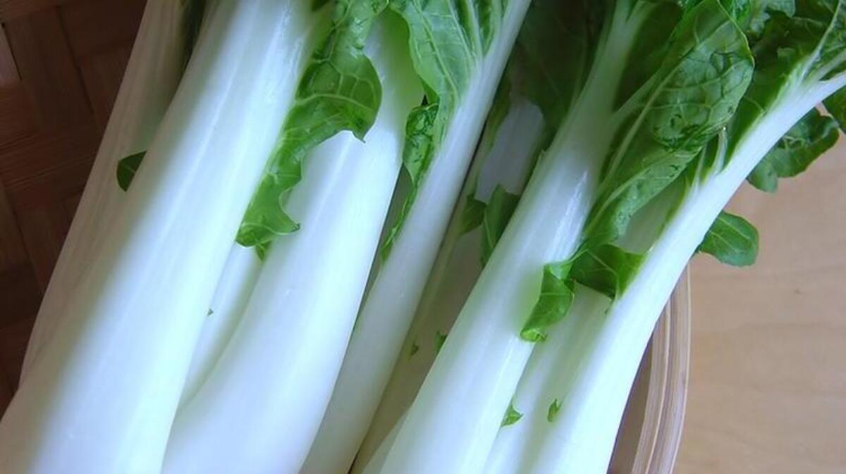 
Bok choy can be planted now.
