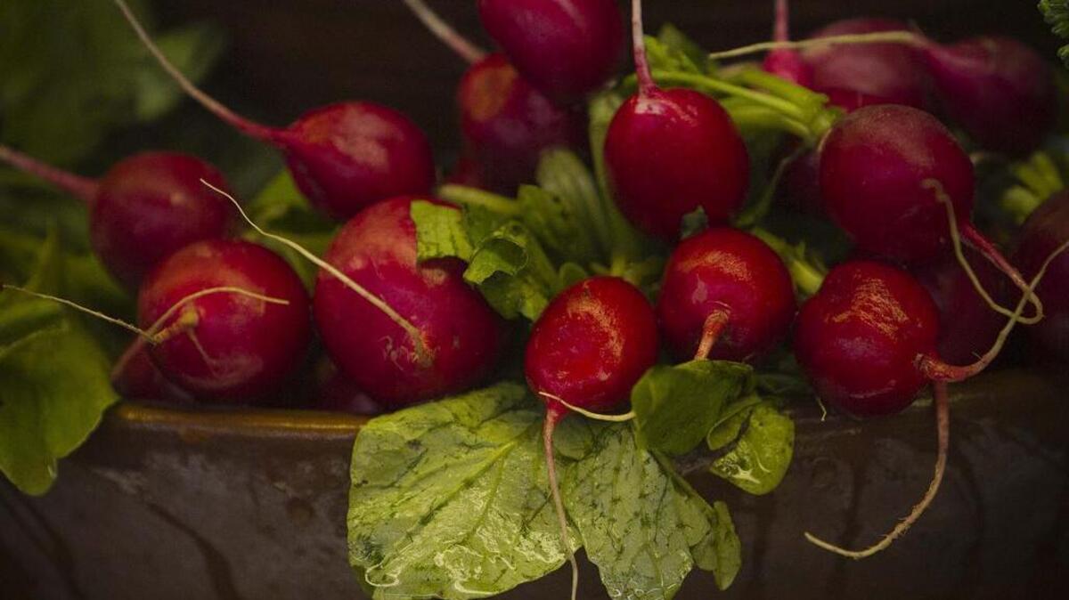 
As summer winds to a close, it’s a perfect time to plant radishes, potatoes, carrots and other vegetables in your garden.
