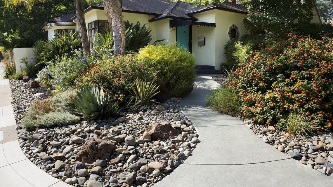 After: Low-water landscape guru Roberta Walker transformed this Land Park home into a water-wise and much more interesting landscape. The palm tree and bird of paradise stayed, but the walkway got new curves to go with the new plantings.