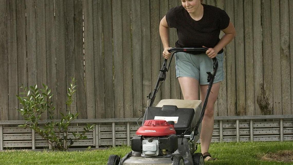 Here are the Top 10 things to do for your yard this spring