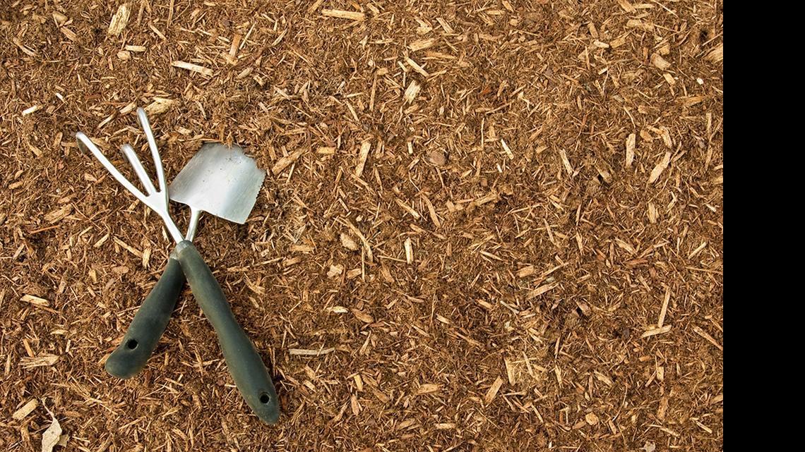 Too mulch, too soon? Follow these tips for healthier garden beds