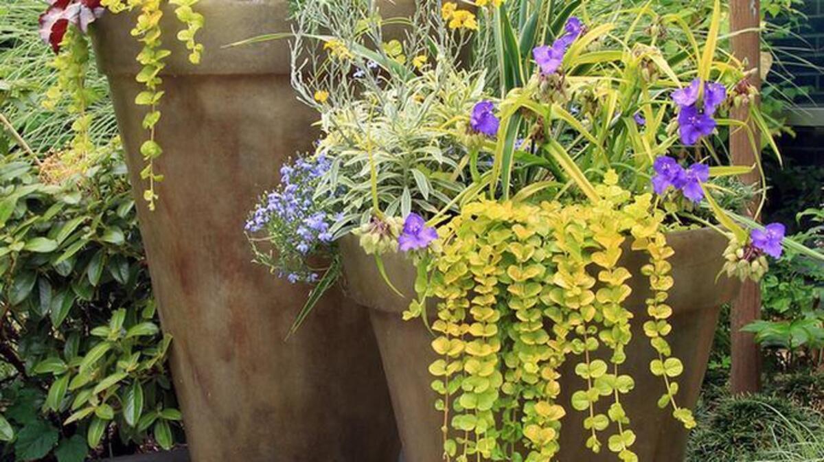 Container gardening is easy and yields colorful results.
