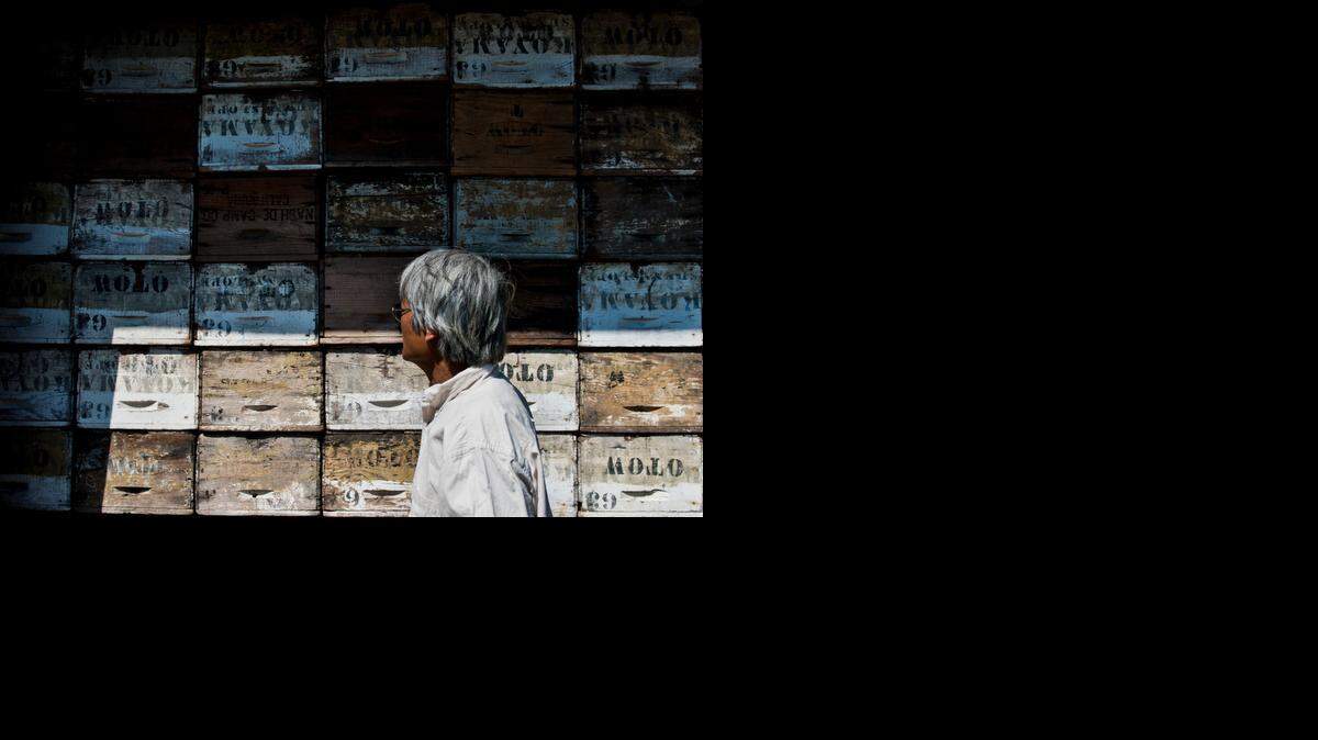 
Tosh Kuratomi passes by persimmon boxes at Otow Orchard in Granite Bay. The 103-year-old farm grows a variety of fruits and vegetables but specializes in persimmons: Hachiya, Fuyu, Maru, Hyakume, Vodka, Chocolate and hoshigaki. Otow’s harvests about 60,000 pounds of persimmons each season.

