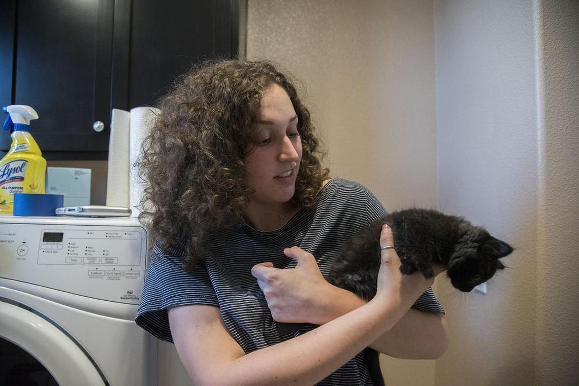 Taylor Wells holds one of her 11 foster cats from the Front Street Shelter in her Sacramento home on June 30, 2017.