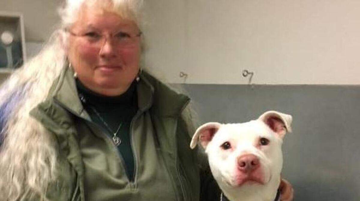 Ghost is Washington state's first deaf drug detection dog. He's pictured with trainer Barb Davenport.