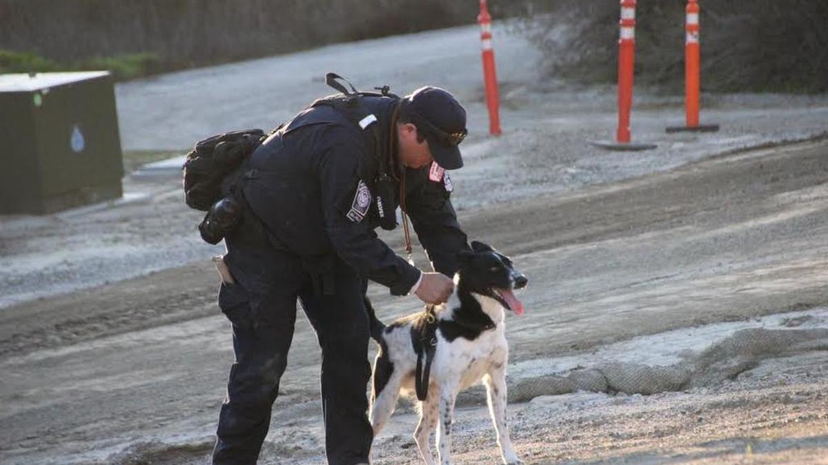 Rocket, once set to be euthanized at a Sacramento shelter, is helping Hurricane Harvey first responders.