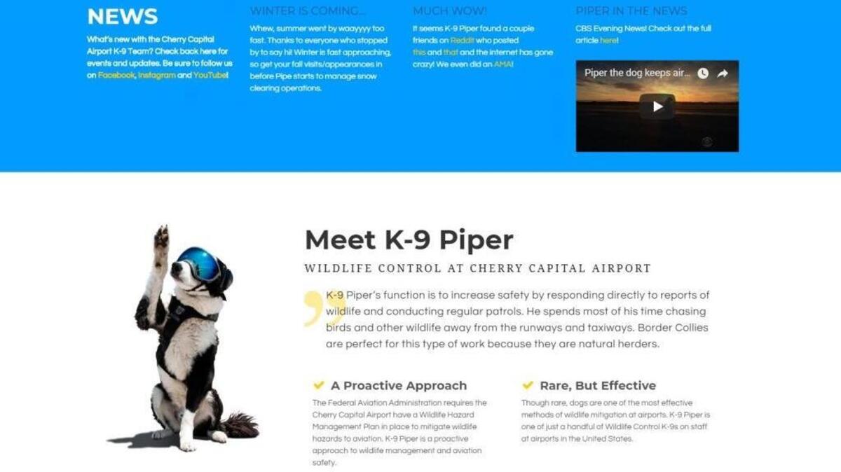 Screenshot of airport K-9 Piper’s webpage.