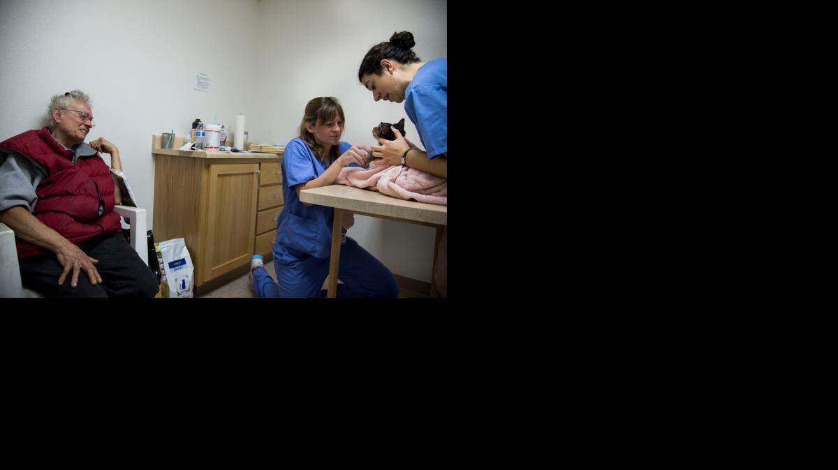 
Mrs. Peaches Merinda Jo Ann Tawn, left, grimaces Saturday as UC Davis veterinary student Diane Royalty, center, treats IngGo the cat at the Mercer Clinic. Tawn camped out overnight in order to be first in line to get treatment for her cat. 


