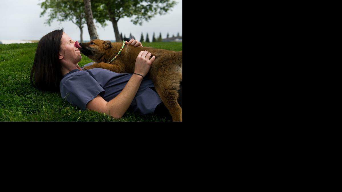 
A rescue dog gets friendly with animal services supervisor Nichole Manley on Friday in Sacramento. Humane Society International intervened to save the dogs and help the farmer transition to a different form of production instead.
