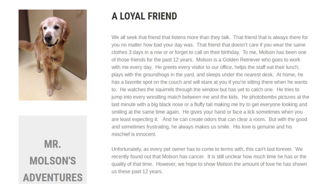 Tim Griffin and his family have created a “bucket list” for Mister Molson, their 12-year-old golden retriever, who has cancer. They are documenting his final adventures on an online blog.