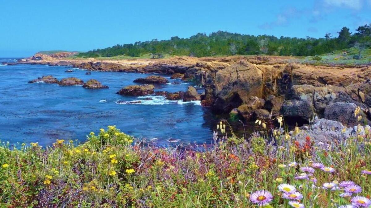 
On a spring day, my future wife-to-be, lovely Melissa, and I walked the scenic oceanfront trails and had a picnic lunch at Point Lobos. Beautiful weather, beautiful scenery, and a beautiful lady!
