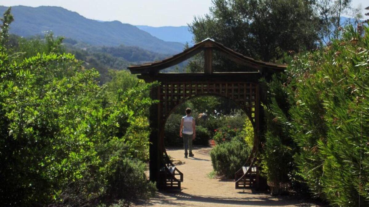 Hard-earned wisdom for Ojai visitors: Don’t gulp down the coffee before tackling Meditation Mount.