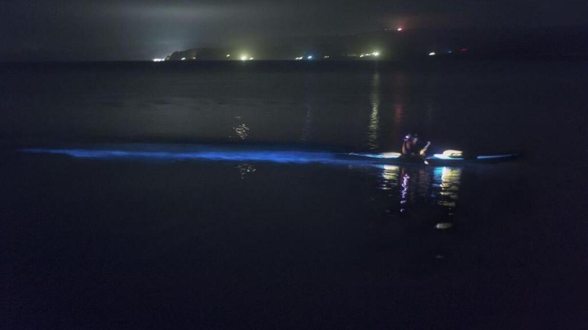 A kayaker from Blue Waters Kayaking paddles through the bioluminescence – produced by tiny, single-celled organisms that emit flashes of light – on Tomales Bay.