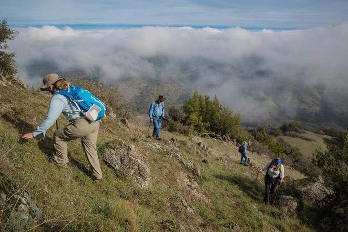 Hikers make their way up the final push to the summit of Yana Peak on Jan. 17 in the Sutter Buttes mountain range a few miles northwest of Yuba City. Land around the Buttes is privately owned, limiting access to the peaks. The Sutter Buttes Regional Land Trust hosts a limited number of hikes in the area in winter, early spring and fall.